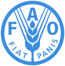 Partenaire